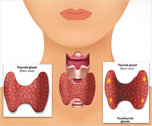 thyroid-problems